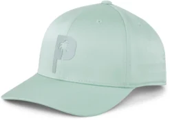 PUMA X PTC Men's Palm Tree Golf Cap -Ball Series Store 02464503 AQUAGREEN AL