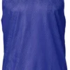 DICK'S Sporting Goods Youth Reversible Mesh Pinnie -Ball Series Store 17DSGYYTHMSHPNNXXBKA Blue Surf