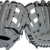 Miken 14'' Pro Series Slowpitch Glove 2 Miken 14'' Pro Series Slowpitch Glove -Ball Series Store 19MCOA14PRSRSSPHWSGL White Navy