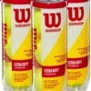 Wilson Championship Extra Duty Tennis Balls - 4 Pack
