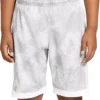 DSG Boys' Basketball Shorts -Ball Series Store 23QYFBBSKTBLLSHRTBAA Light Gray Dye