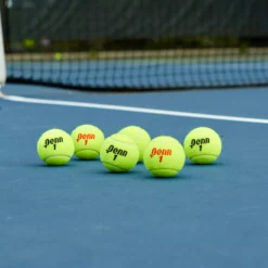 Penn Champion Extra Duty 6-Pack Tennis Balls -Ball Series Store 521019 NOCOLOR TEC