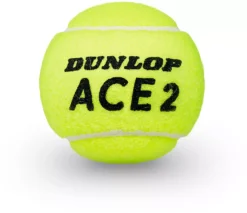 Dunlop Ace All Court 3-Ball Can -Ball Series Store 601351 NOCOLOR DET