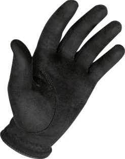 FootJoy RainGrip Golf Gloves – Pair -Ball Series Store 66109 NOCOLOR PALM