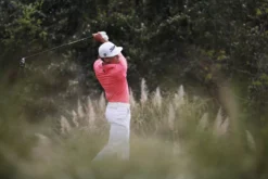 FootJoy 2023 StaSof Golf Glove -Ball Series Store 66770 NOCOLOR DET alt2