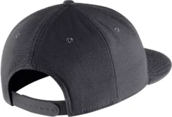 Nike Adult Pro Flatbill Cap -Ball Series Store C13869 Anthracite BCK