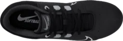 Nike Women's Hyperdiamond 4 Pro Fastpitch Softball Cleats 9 Nike Women's Hyperdiamond 4 Pro Fastpitch Softball Cleats -Ball Series Store CZ5920 010 BlackGrey TOP