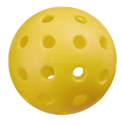 Monarch Dragon Slayer Pickleball Set 11 Monarch Dragon Slayer Pickleball Set -Ball Series Store MN22DRAGONSET BlackWhite DET alt3