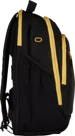 Titleist Regional Players Golf Backpack -Ball Series Store RGNLBCKPCK TA20PBPR07 BLACKGOLD SDE alt1