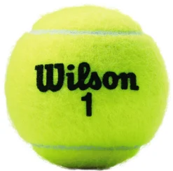 Wilson Championship Extra Duty Tennis Balls - 4 Pack -Ball Series Store T1096V NOCOLOR OPKG