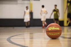 Wilson Evolution Official Basketball -Ball Series Store WTB0595ID07 03 Yellow DET alt1